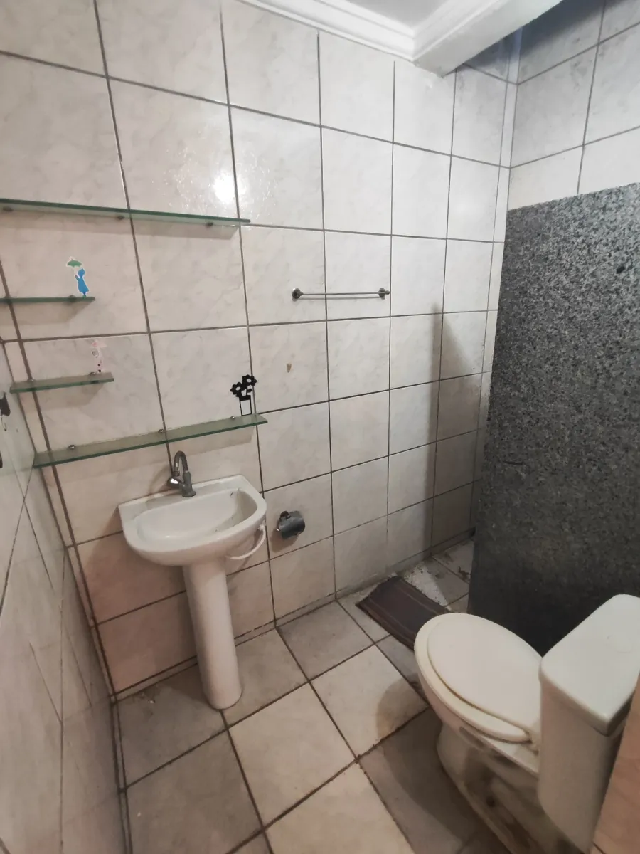 galeria image