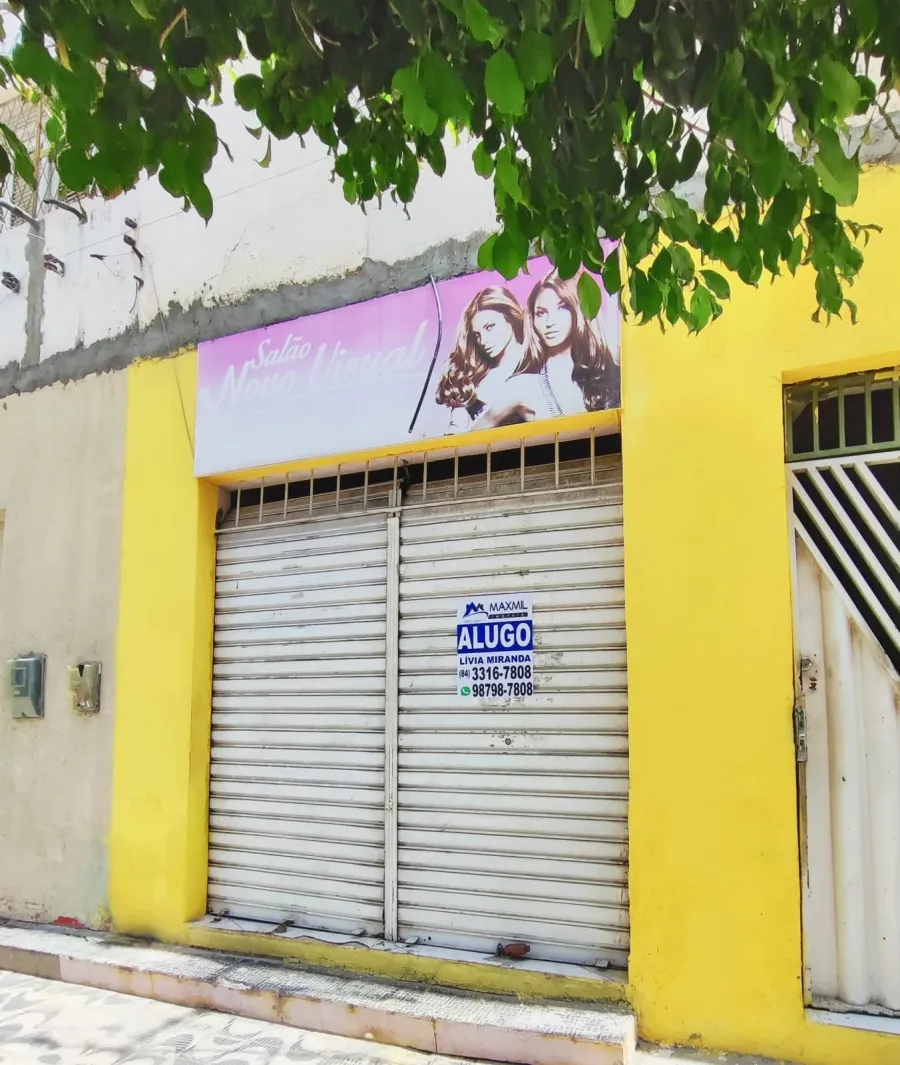 galeria image
