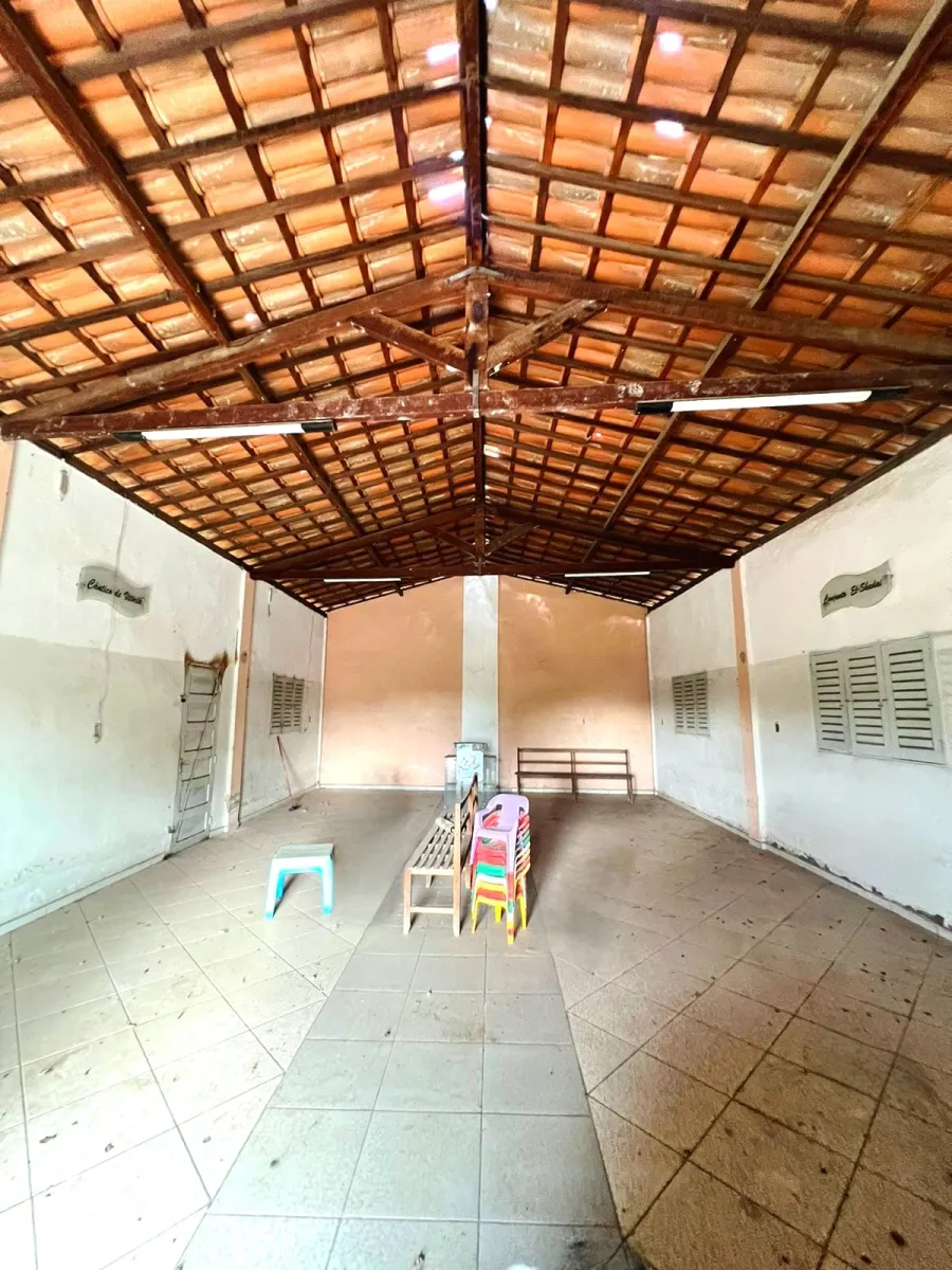 galeria image
