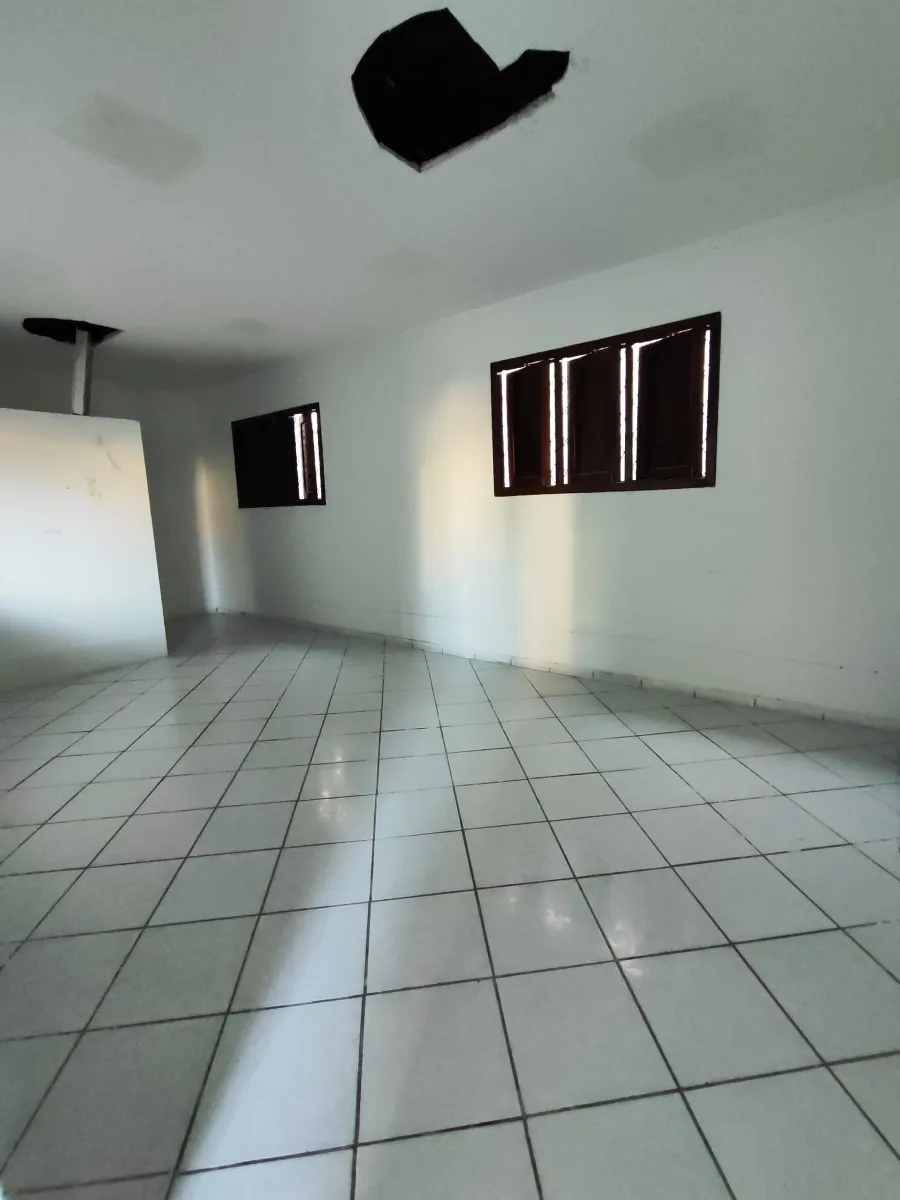 galeria image