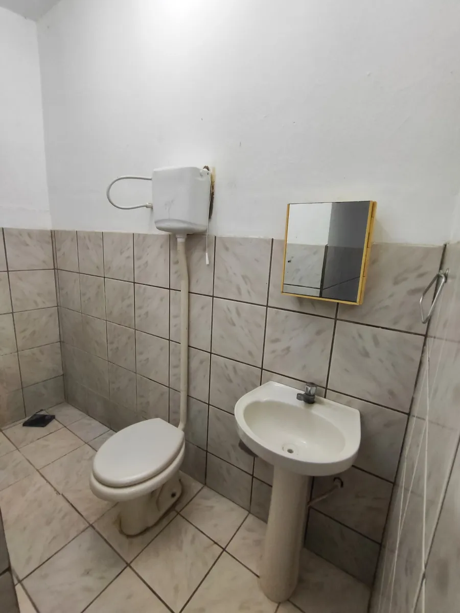 galeria image