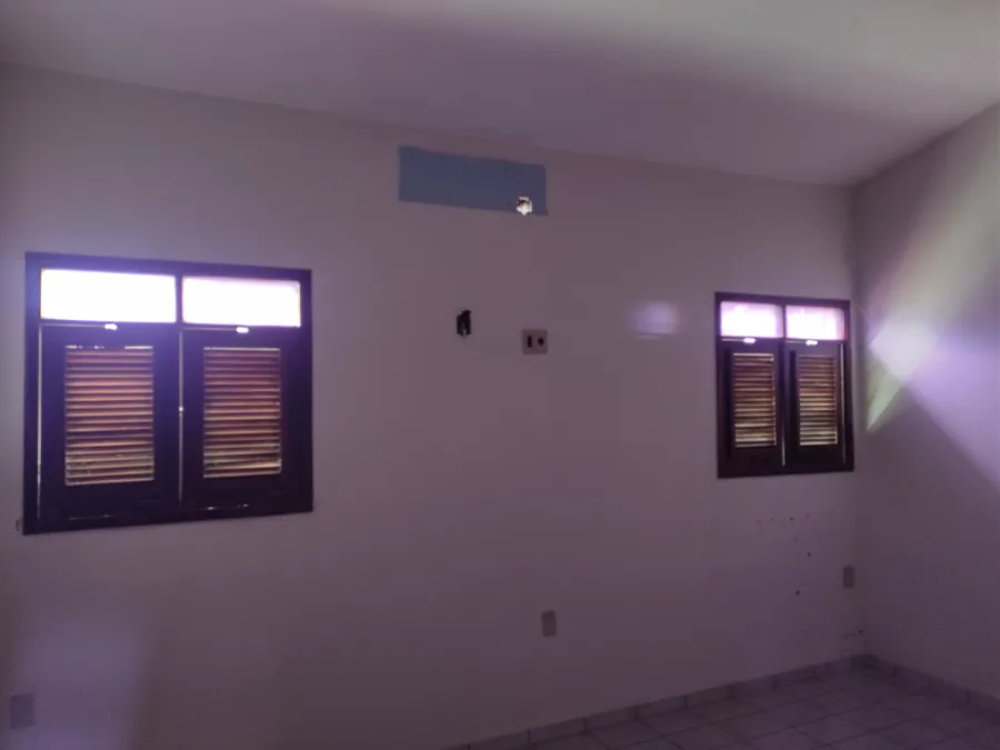 galeria image