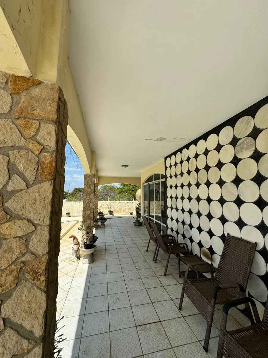 galeria image
