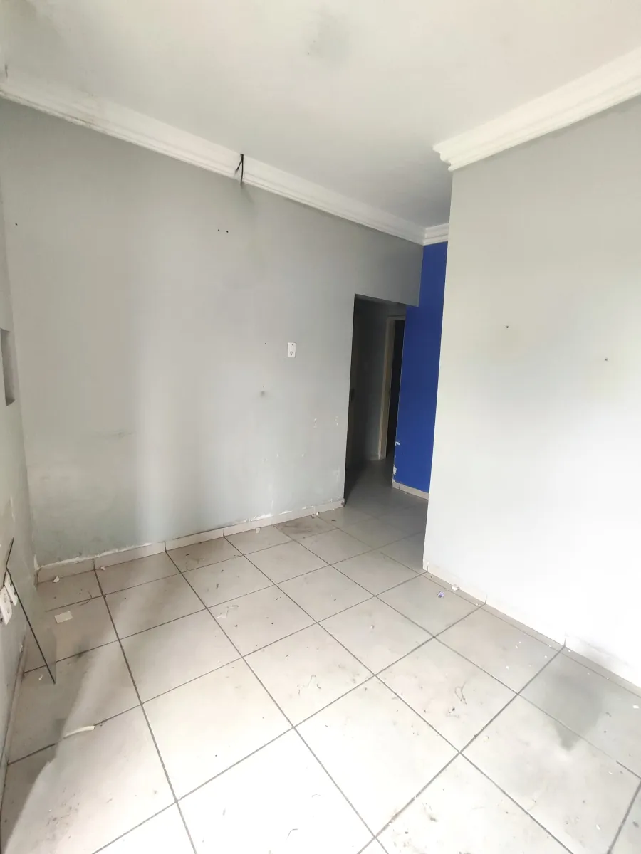 galeria image