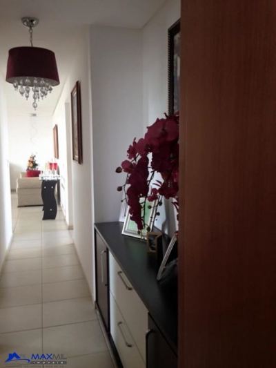 galeria thumb
