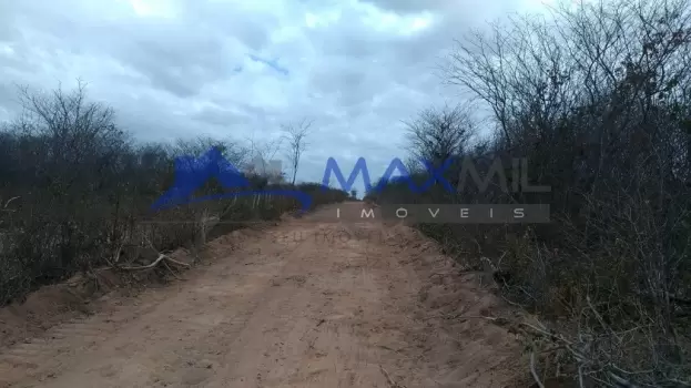 galeria thumb