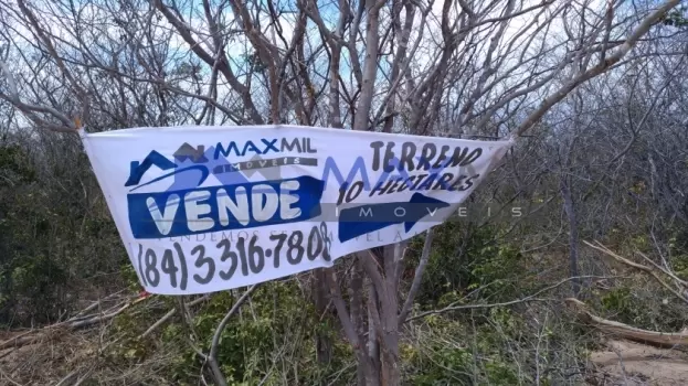 galeria thumb