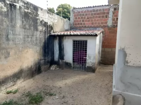 galeria thumb