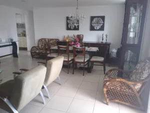 galeria thumb
