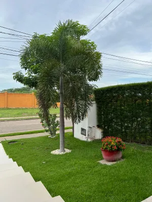 galeria thumb