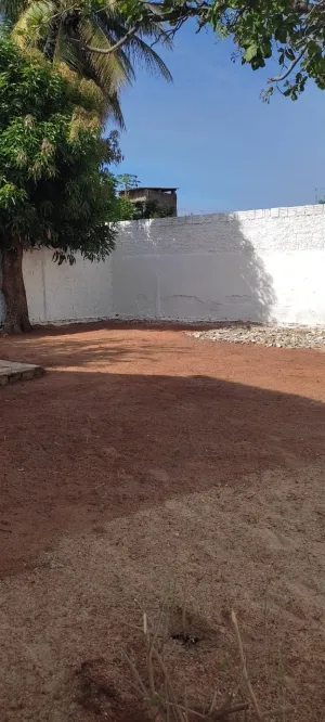 galeria thumb