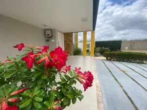 galeria thumb
