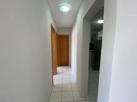 galeria thumb