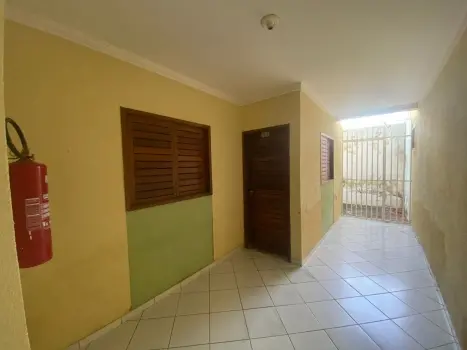 galeria thumb