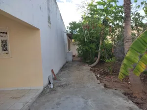 galeria thumb