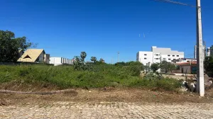 galeria thumb