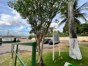 galeria thumb