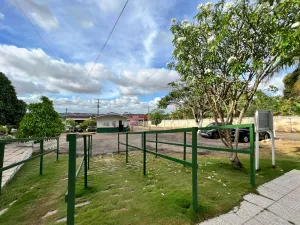 galeria thumb