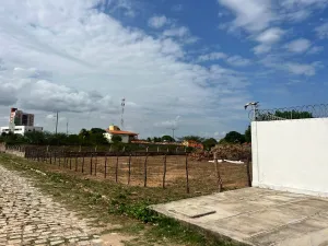 galeria thumb