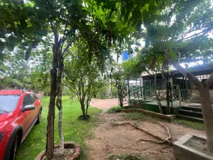 galeria thumb