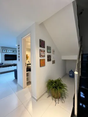 galeria thumb