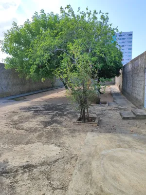 galeria thumb