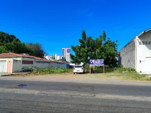 galeria thumb
