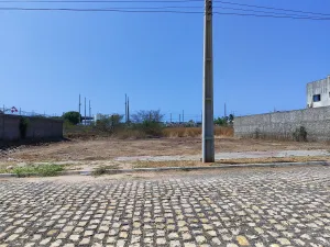 galeria thumb