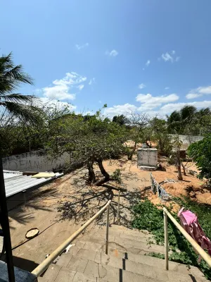 galeria thumb